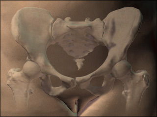 Site of pelvis X-ray