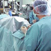 Cardiac surgery - Valve surgery